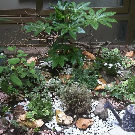 Szálloda Eco Art Statuto