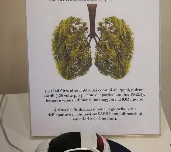 Eco Art Statuto Turin